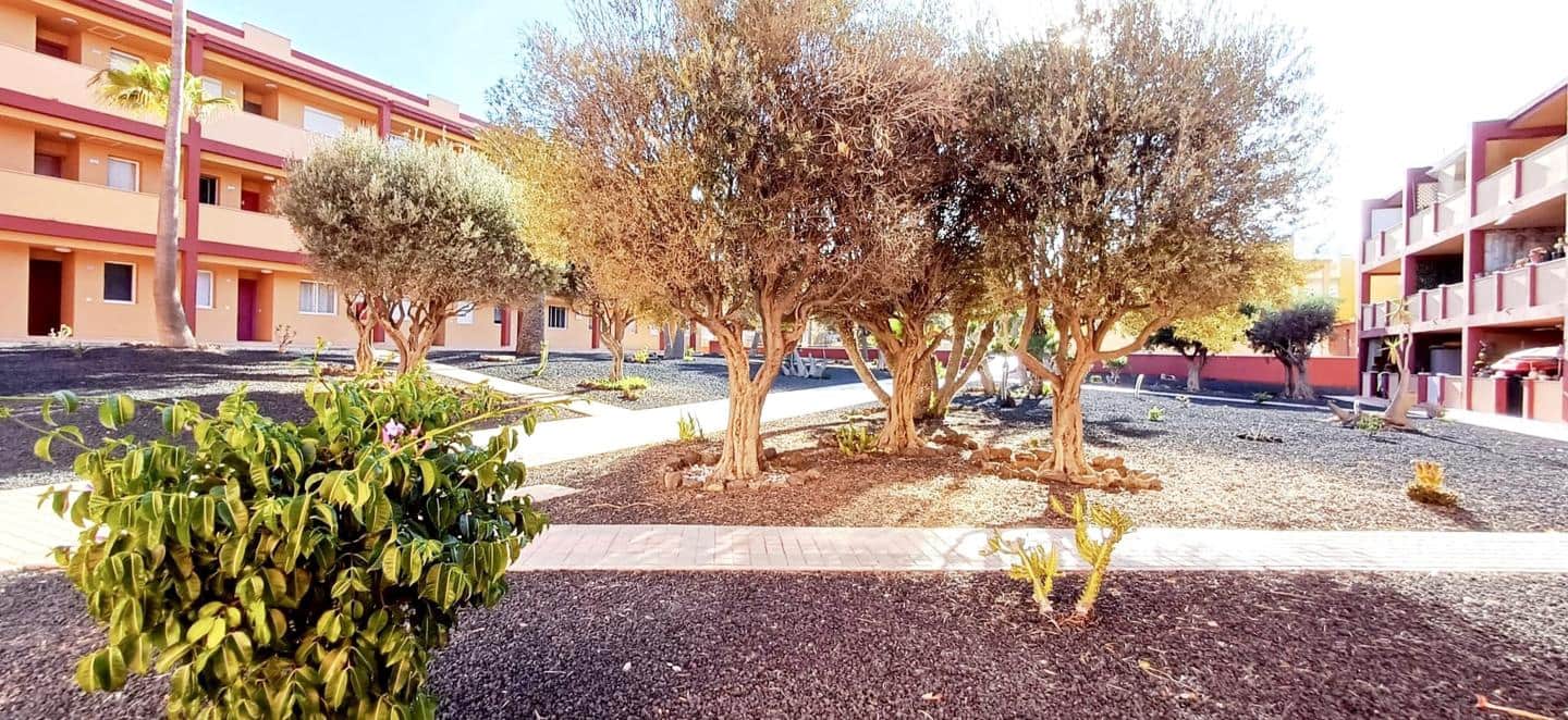 2 sovrum Lägenhet att hyra i La Oliva med pool garage - 1 200 € (Ref: 10009722)