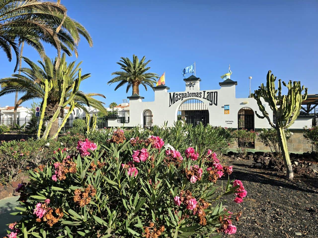 1 sypialnia Bungalow do wynajęcia w Maspalomas z basenem - 1 300 € (Ref: 10009723)