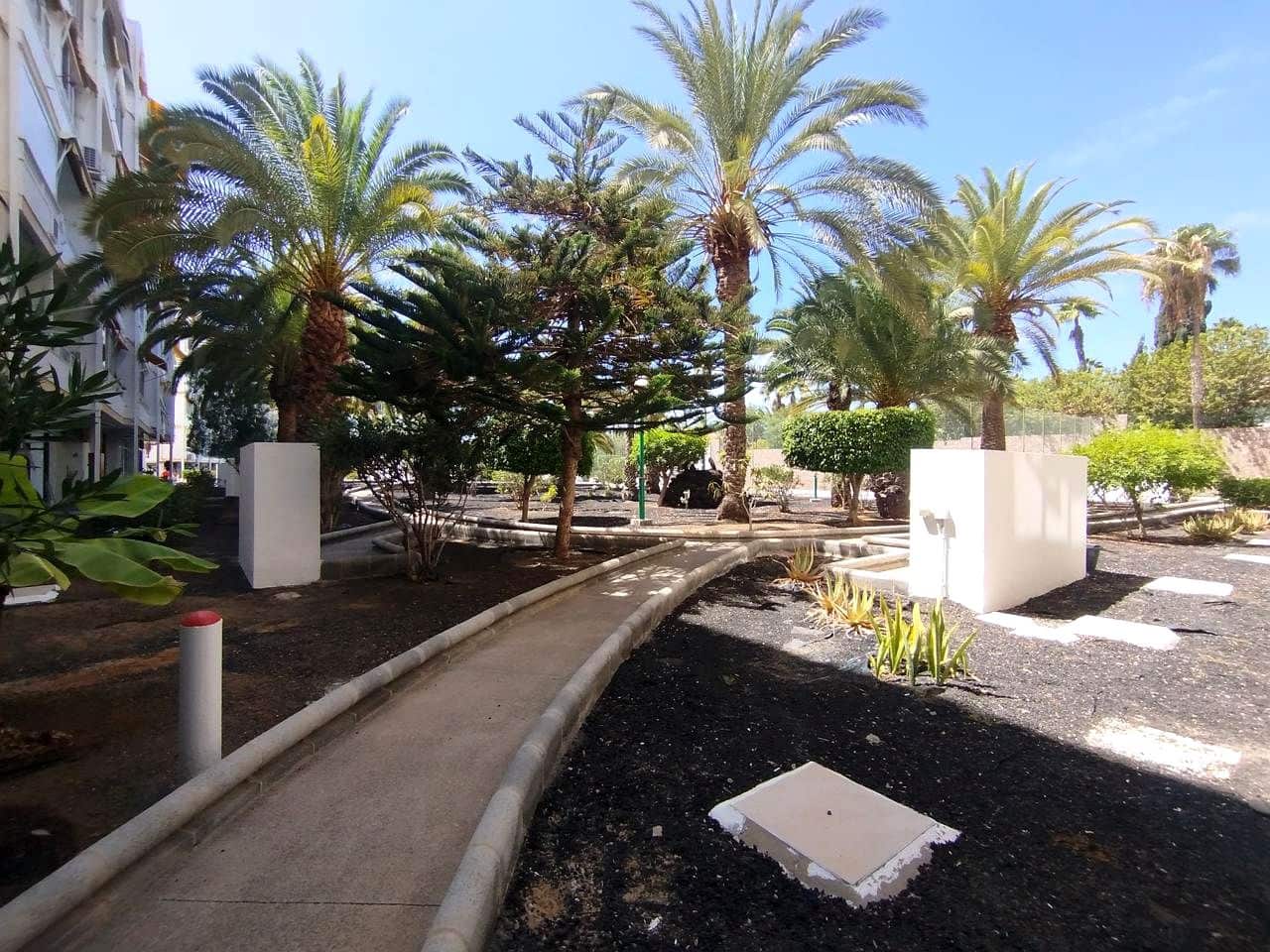Appartement de 1 chambre à louer à Playa del Ingles avec piscine - 1 400 € (Ref: 10031250)
