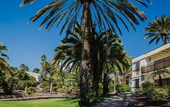 1 bedroom Flat for rent in San Agustin with pool - € 1,200 (Ref: 10113253)