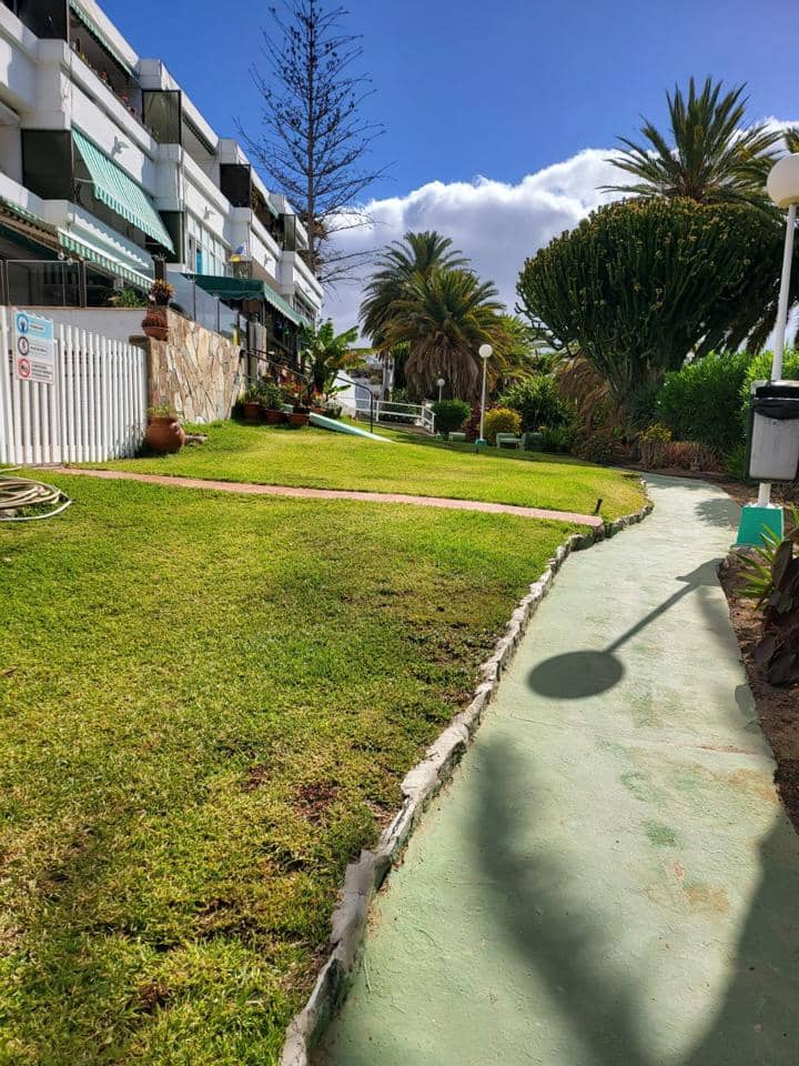Appartement de 1 chambre à louer à Maspalomas avec piscine - 1 150 € (Ref: 8260187)