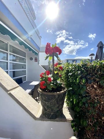 1 bedroom Flat for rent in Campo Internacional, San Bartolomé de Tirajana with pool - € 980 (Ref: 8419118)