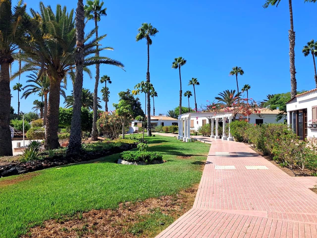 Bungalow de 1 habitación en Maspalomas en alquiler con piscina - 1.350 € (Ref: 8504806)