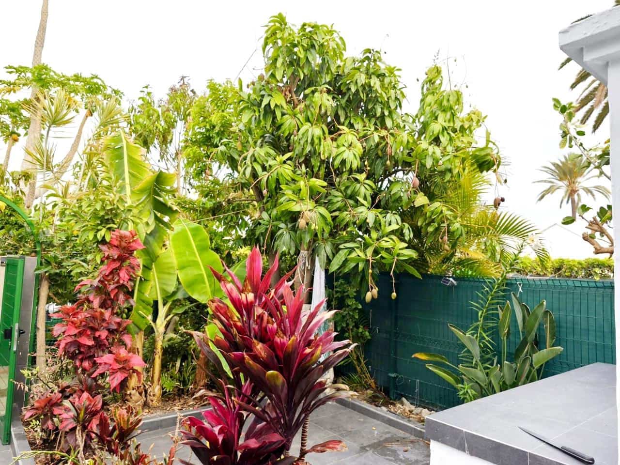 1 sovrum Bungalow att hyra i Maspalomas med pool - 1 500 € (Ref: 8633794)