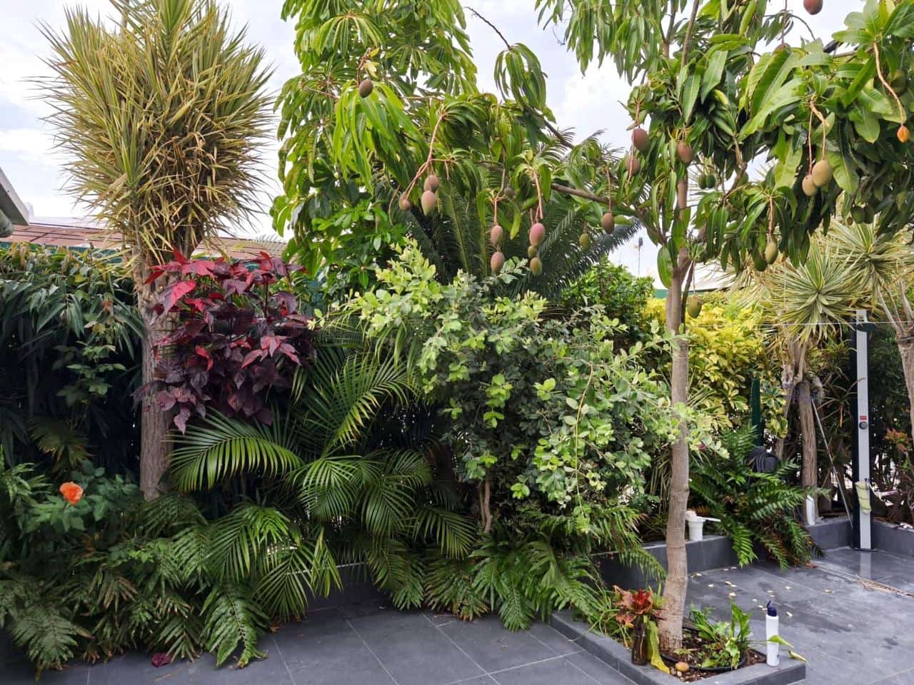 1 sovrum Bungalow att hyra i Maspalomas med pool - 1 500 € (Ref: 8633794)