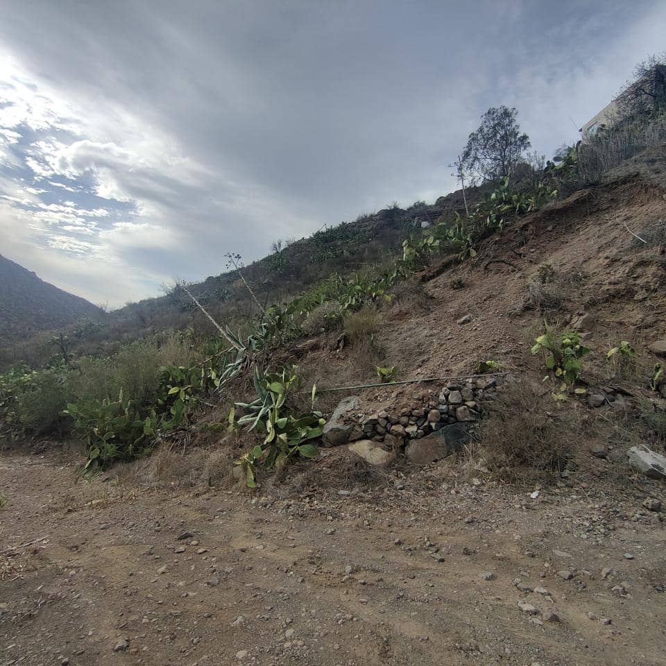 Ubebygd land til salgs i San Bartolome de Tirajana - € 60 000 (Ref: 8670721)