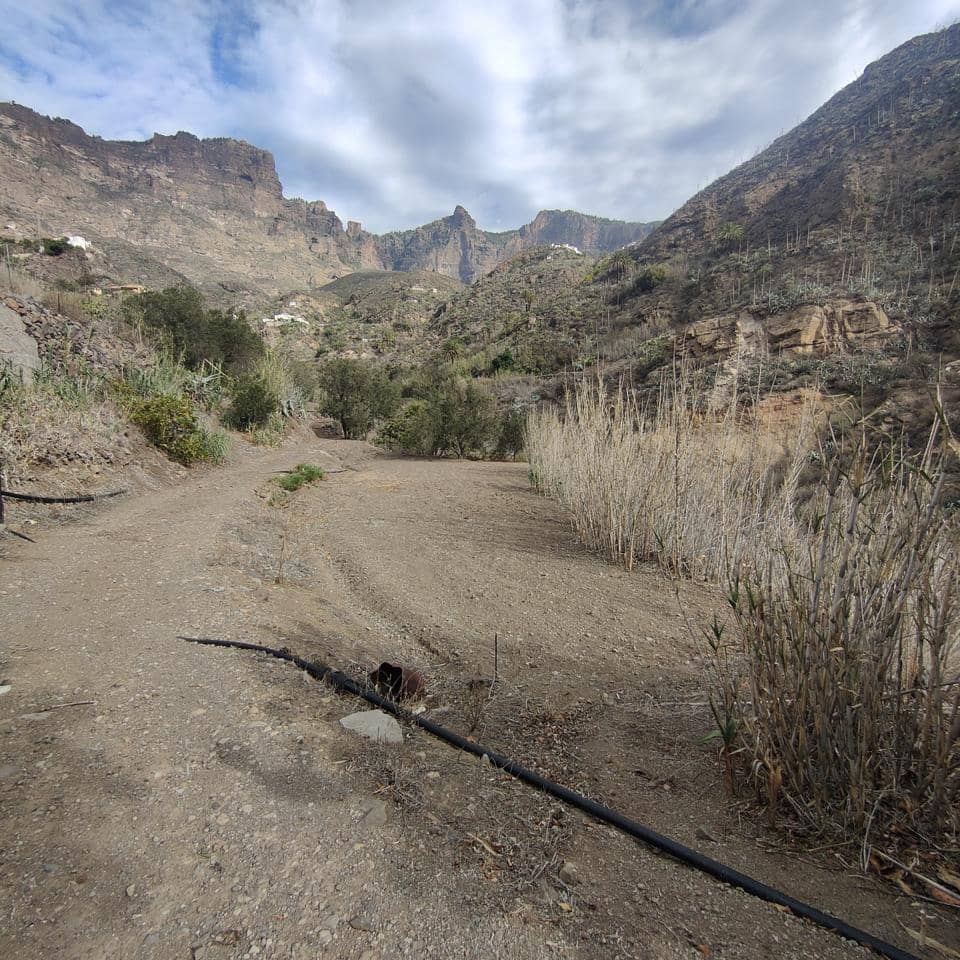 Ubebygd land til salgs i San Bartolome de Tirajana - € 60 000 (Ref: 8670721)