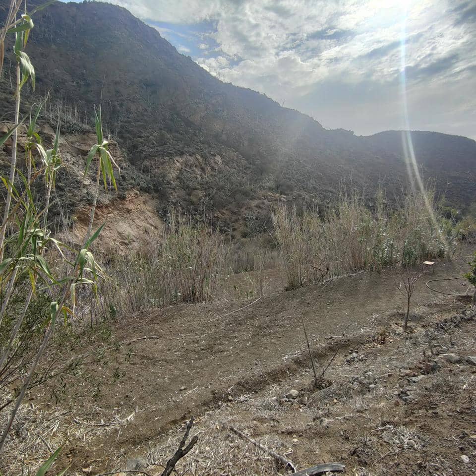 Ubebygd land til salgs i San Bartolome de Tirajana - € 60 000 (Ref: 8670721)