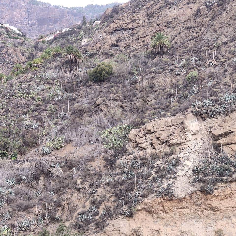 Ubebygd land til salgs i San Bartolome de Tirajana - € 60 000 (Ref: 8670721)