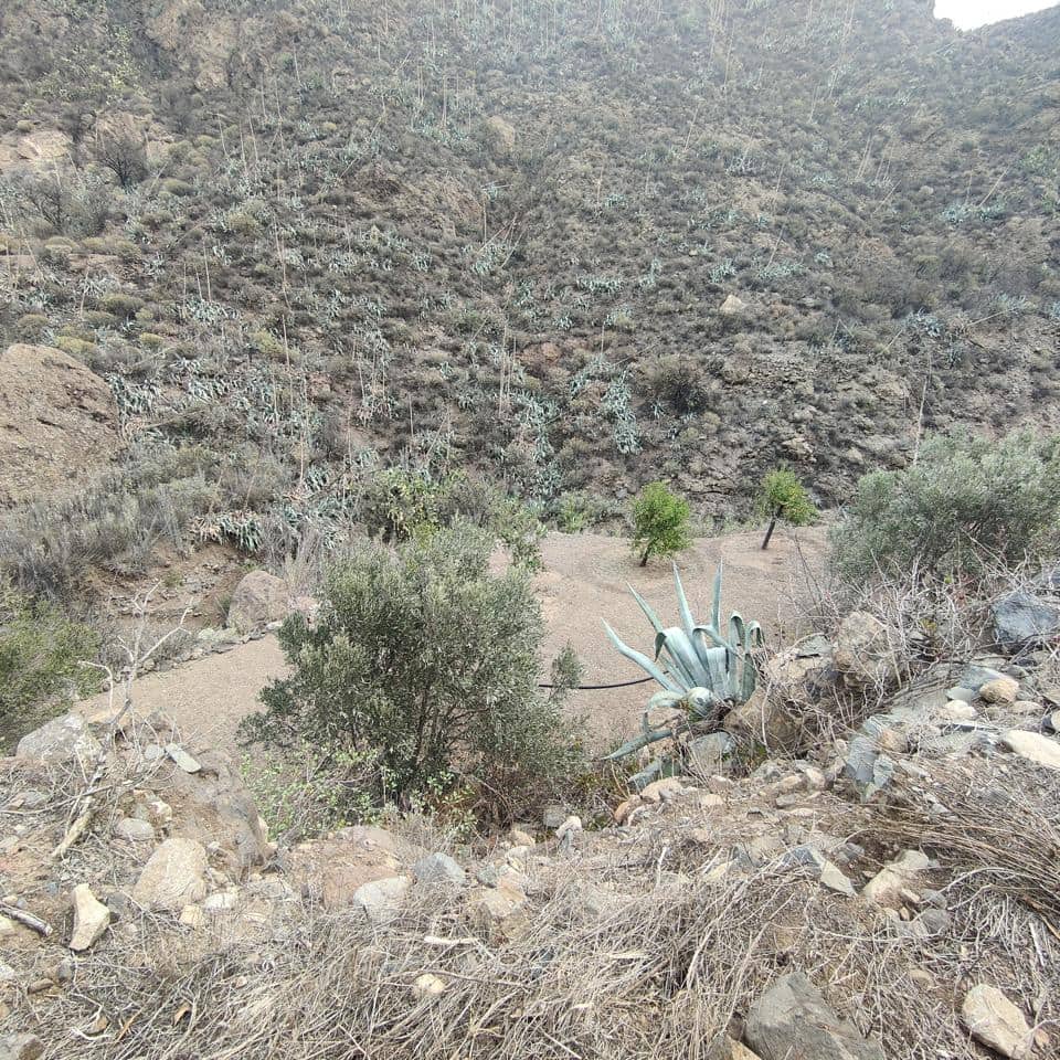 Ubebygd land til salgs i San Bartolome de Tirajana - € 60 000 (Ref: 8670721)