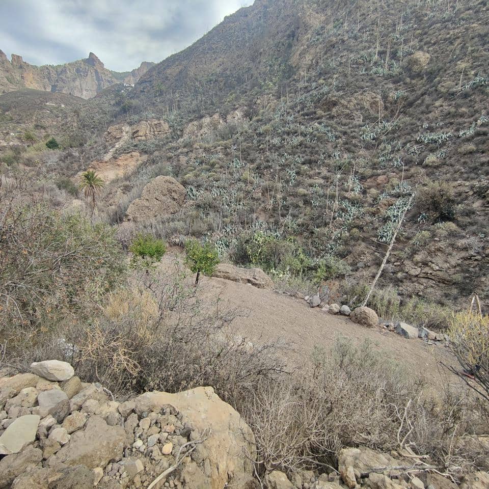 Ubebygd land til salgs i San Bartolome de Tirajana - € 60 000 (Ref: 8670721)