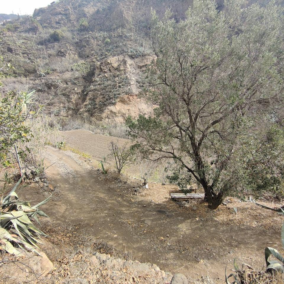 Ubebygd land til salgs i San Bartolome de Tirajana - € 60 000 (Ref: 8670721)