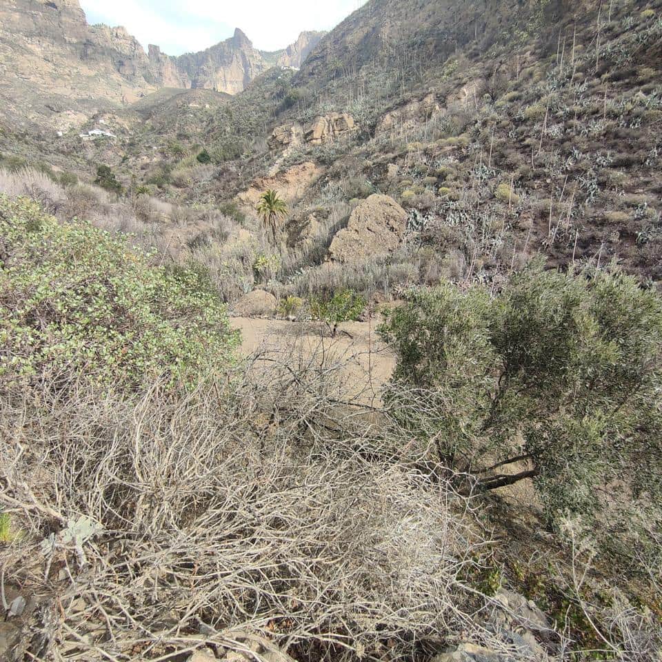 Ubebygd land til salgs i San Bartolome de Tirajana - € 60 000 (Ref: 8670721)