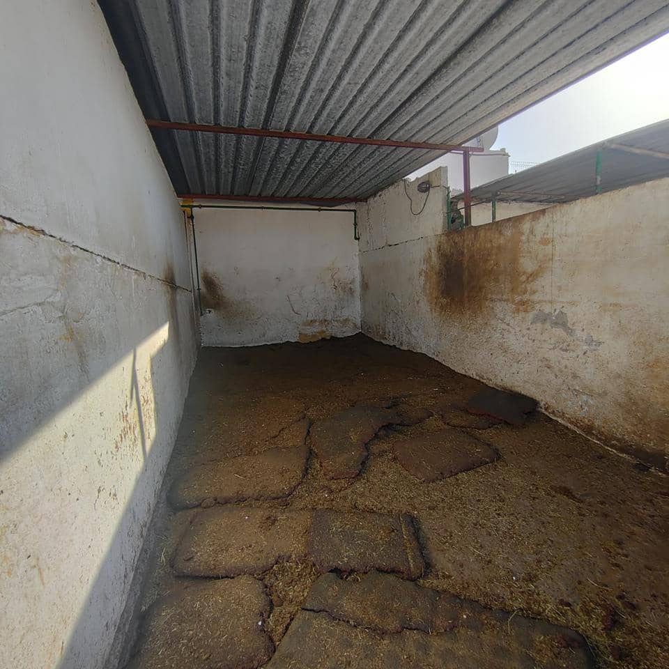 Undeveloped Land for rent in El Salobre - € 2,600 (Ref: 8688008)