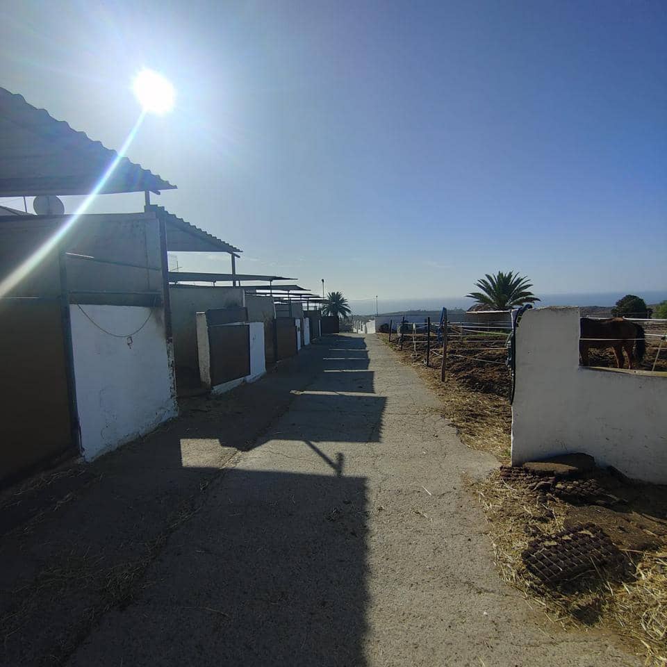 Undeveloped Land for rent in El Salobre - € 2,600 (Ref: 8688008)