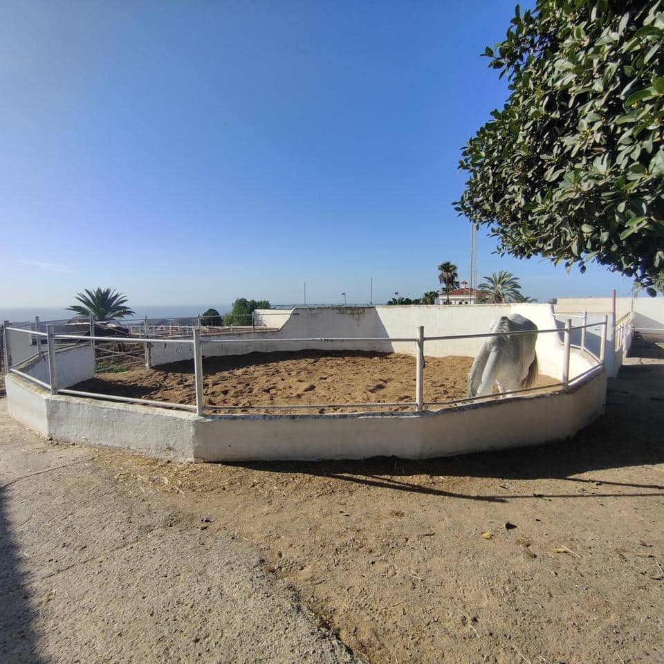 Undeveloped Land for rent in El Salobre - € 2,600 (Ref: 8688008)