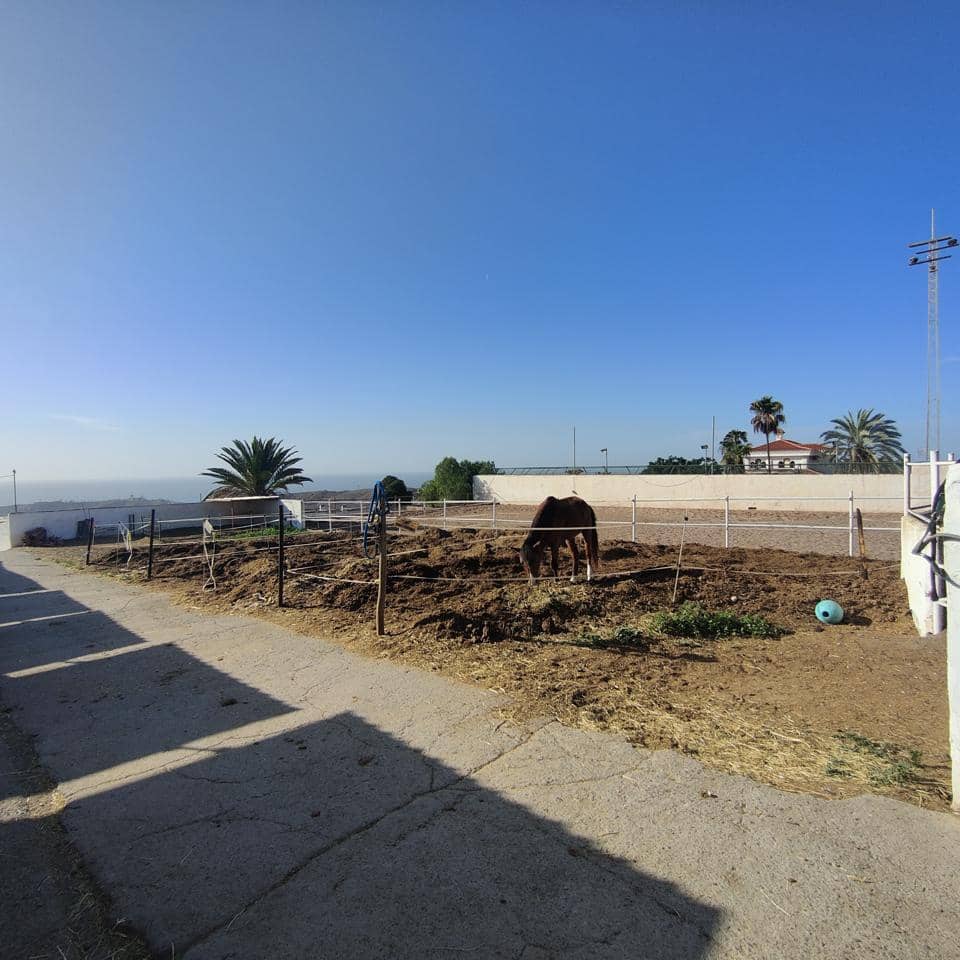 Undeveloped Land for rent in El Salobre - € 2,600 (Ref: 8688008)