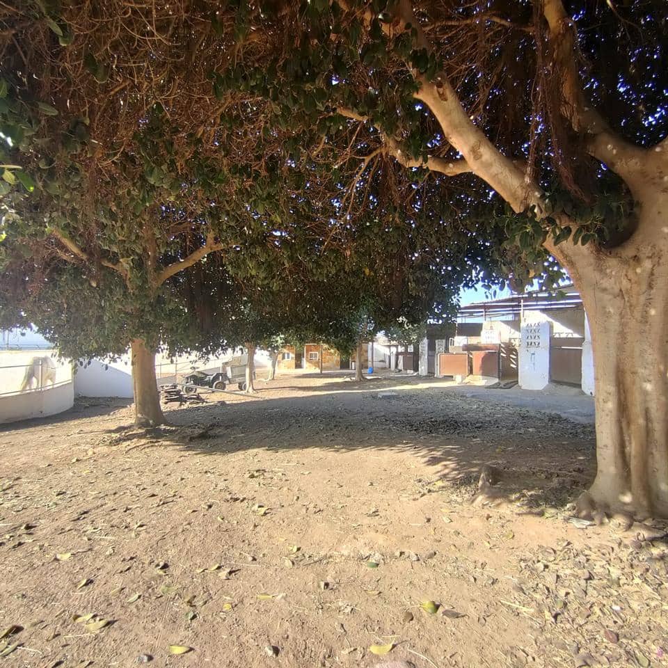 Undeveloped Land for rent in El Salobre - € 2,600 (Ref: 8688008)