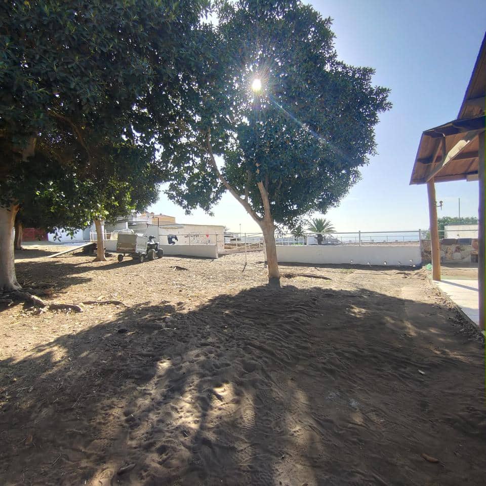 Undeveloped Land for rent in El Salobre - € 2,600 (Ref: 8688008)