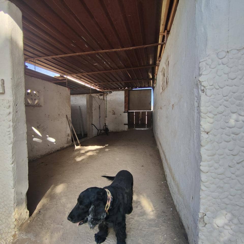 Undeveloped Land for rent in El Salobre - € 2,600 (Ref: 8688008)