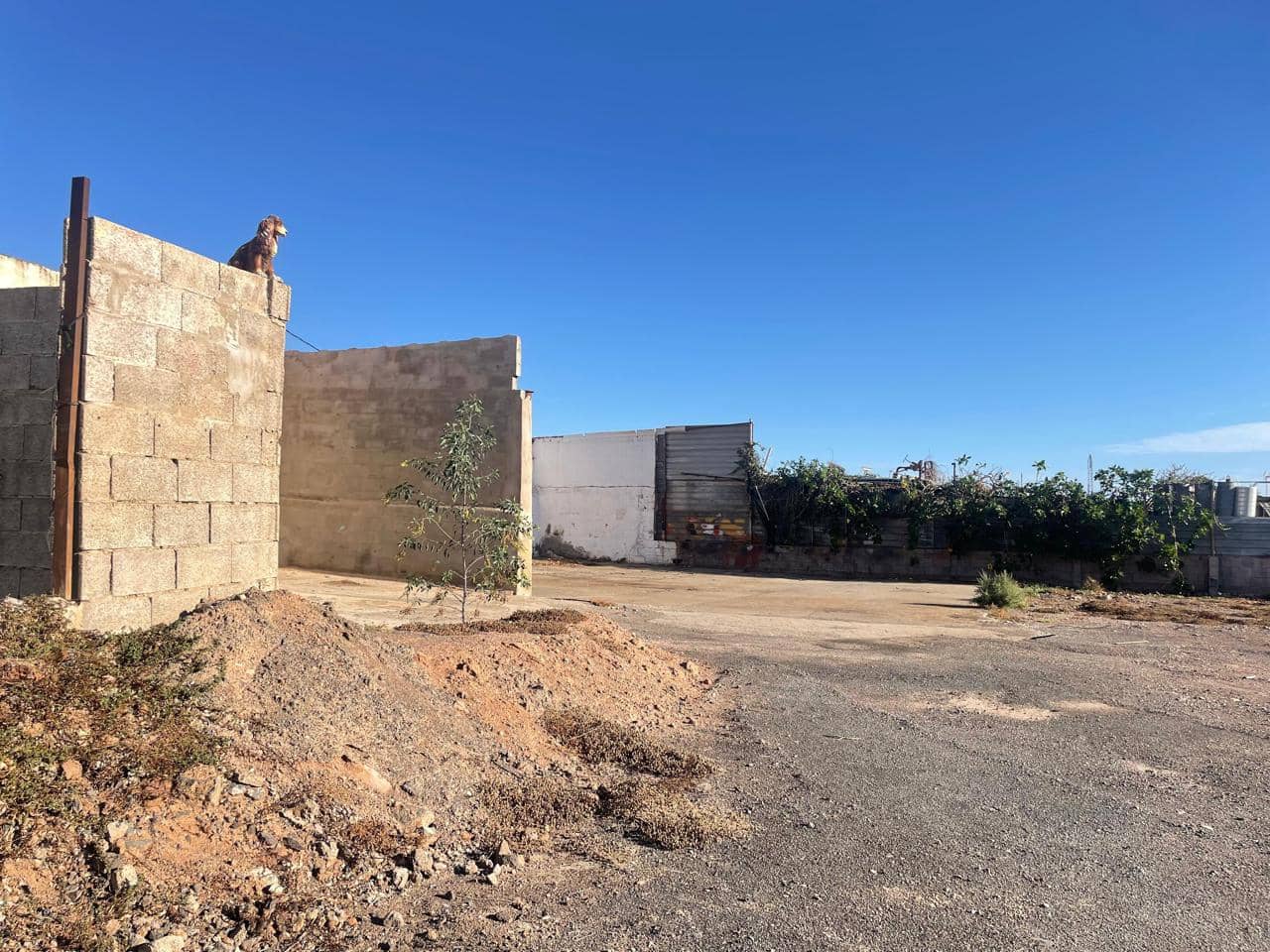 Grunde uden byggetilladelser til leje i Ingenio - € 2.900 (Ref: 8716871)