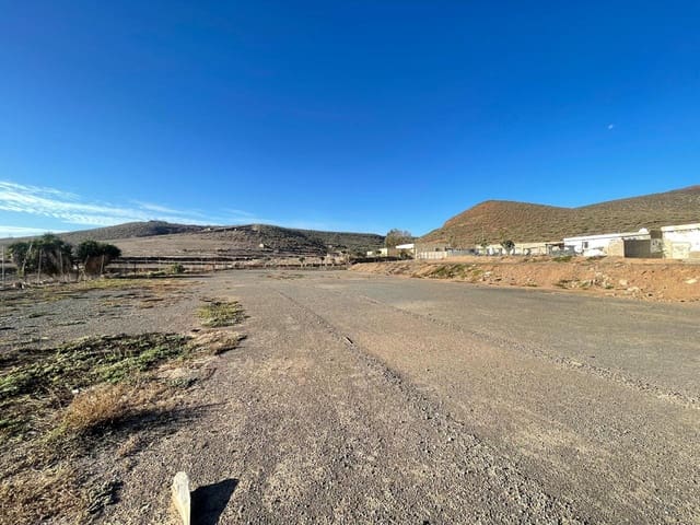 Undeveloped Land for rent in Ingenio - € 2,900 (Ref: 8716871)