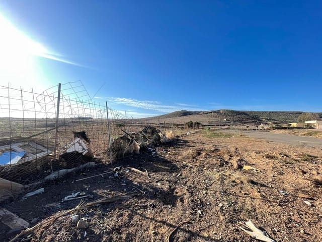 Undeveloped Land for rent in Ingenio - € 2,900 (Ref: 8716871)