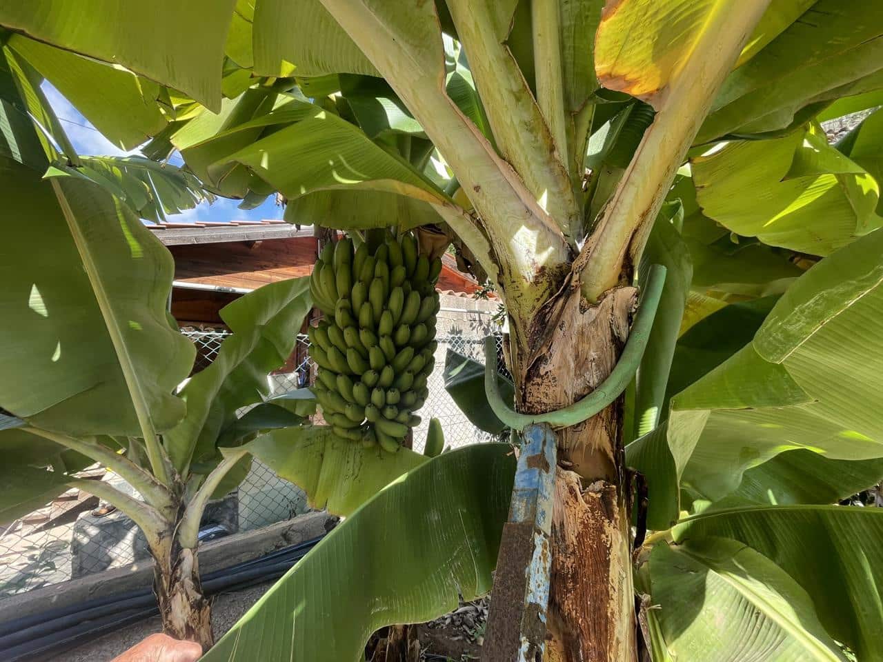 Grunde uden byggetilladelser til salg i San Bartolome de Tirajana - € 120.000 (Ref: 8782281)