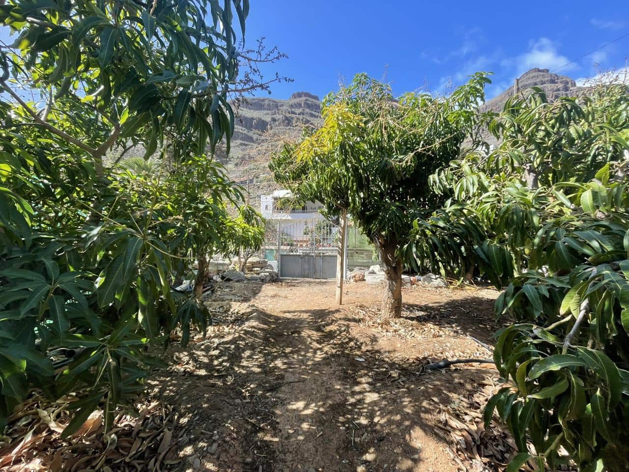 Grunde uden byggetilladelser til salg i San Bartolome de Tirajana - € 120.000 (Ref: 8782281)