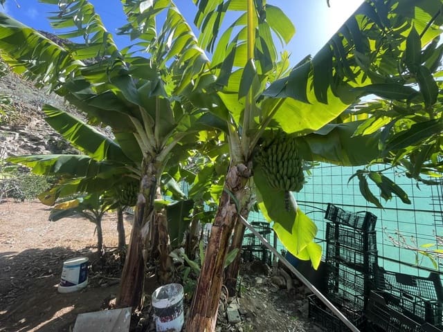 Rakentamaton maa myytävänä paikassa San Bartolomé de Tirajana - 120 000 € (Ref: 8782281)