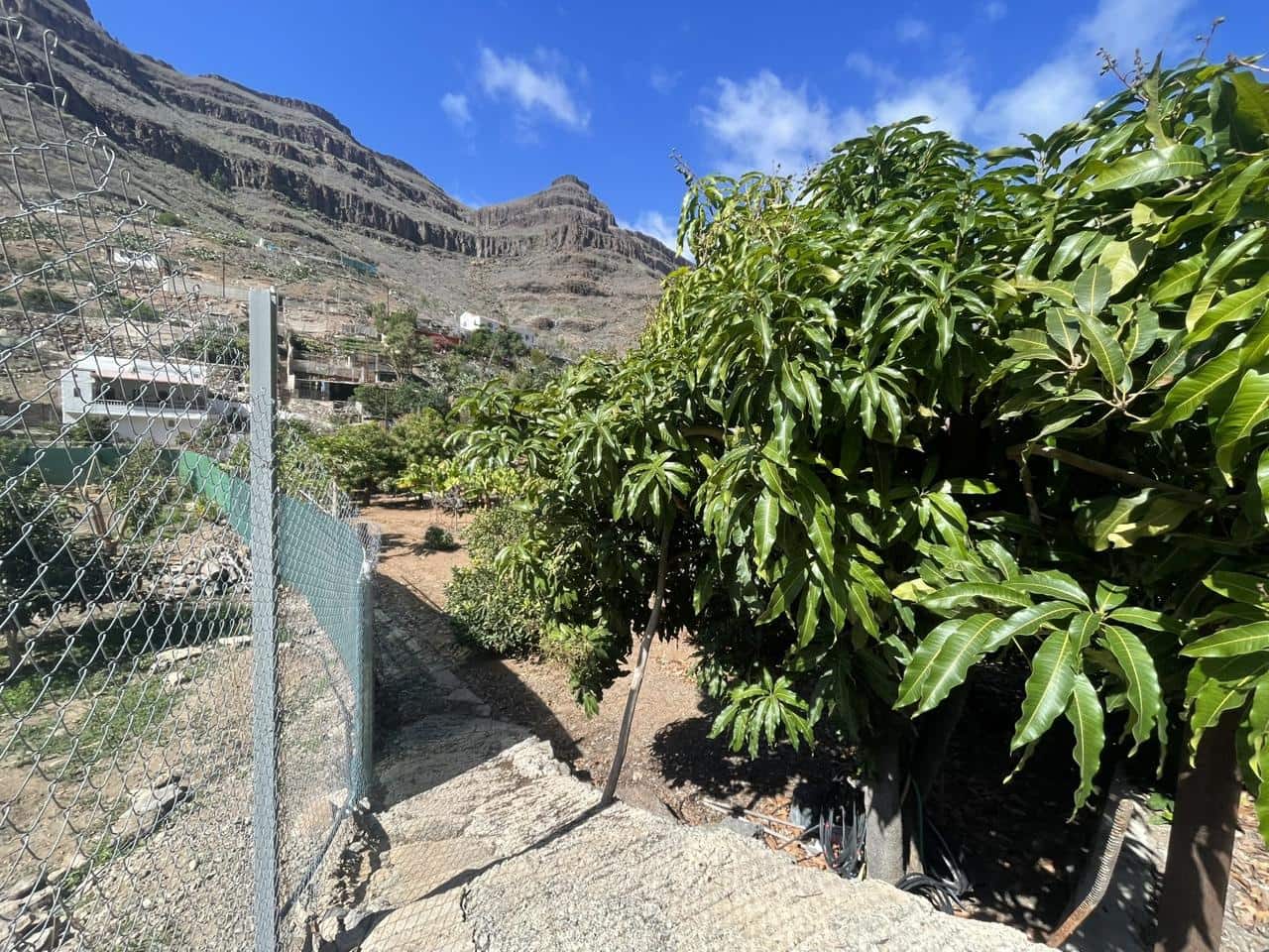 Grunde uden byggetilladelser til salg i San Bartolome de Tirajana - € 120.000 (Ref: 8782281)