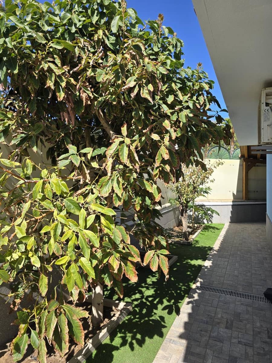 2 soveværelse Villa til salg i Maspalomas med swimmingpool - € 665.000 (Ref: 8810951)