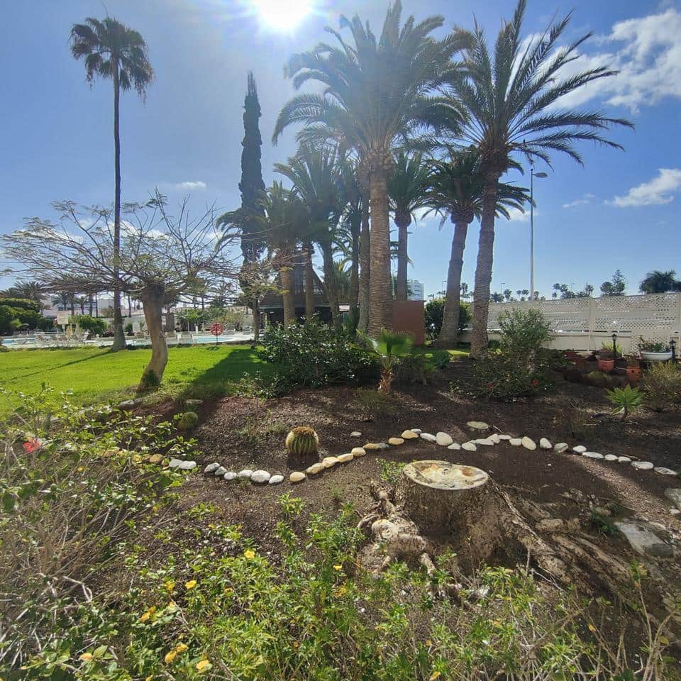 1 makuuhuone Asunto vuokrattavana paikassa San Bartolome de Tirajana mukana uima-altaan 
autotalli - 1 330 € (Ref: 8958247)