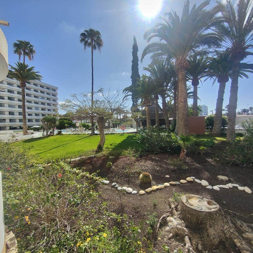 1 makuuhuone Asunto vuokrattavana paikassa San Bartolome de Tirajana mukana uima-altaan 
autotalli - 1 330 € (Ref: 8958247)