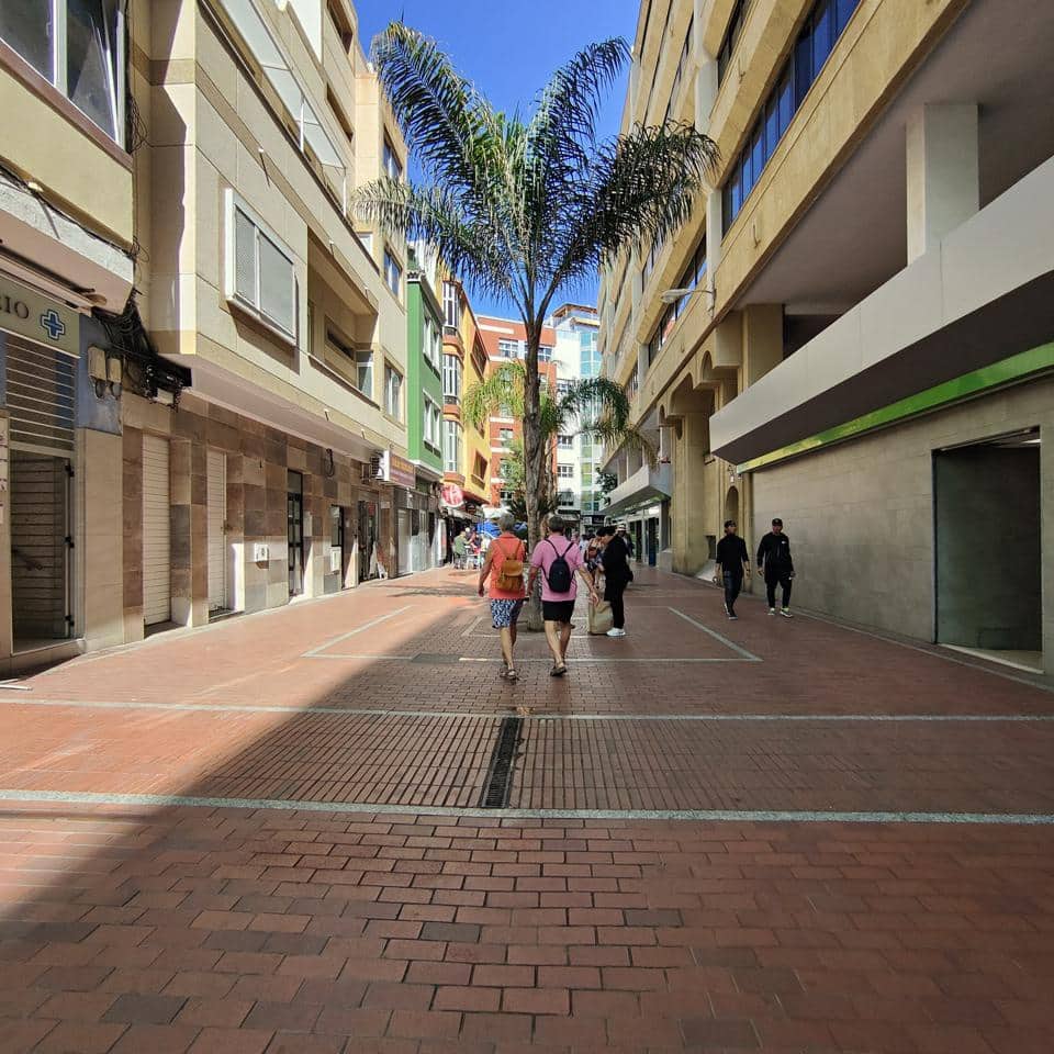 Leilighet til leie i Las Palmas de Gran Canaria - € 850 (Ref: 8973560)