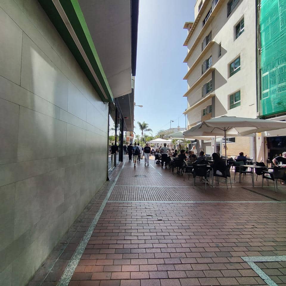 Leilighet til leie i Las Palmas de Gran Canaria - € 850 (Ref: 8973560)