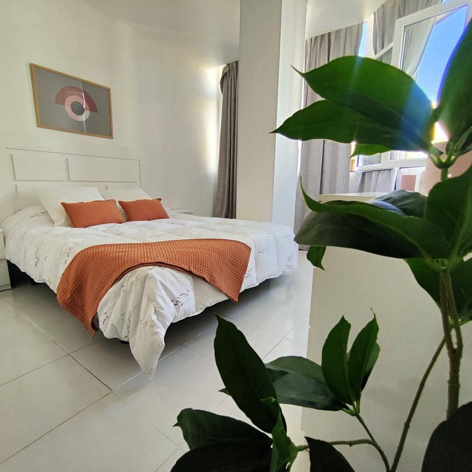 Leilighet til leie i Las Palmas de Gran Canaria - € 850 (Ref: 8973560)