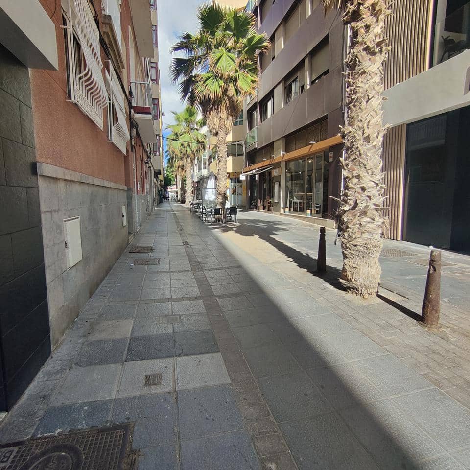 2 bedroom Flat for rent in Las Palmas de Gran Canaria - € 1,500 (Ref: 8992890)