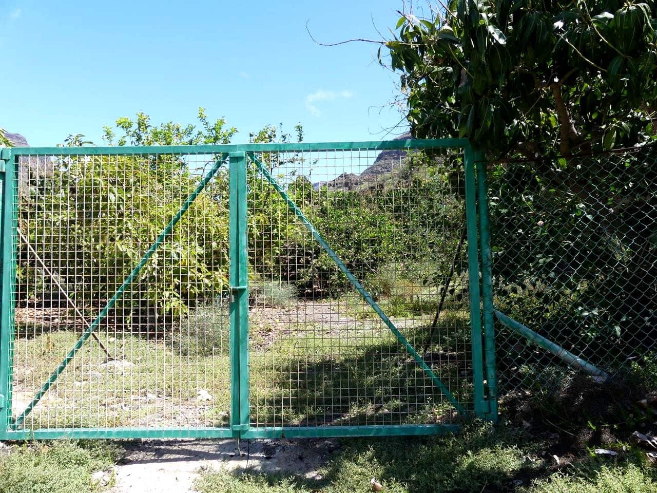 Grunde uden byggetilladelser til leje i Mogan - € 1.670 (Ref: 9075691)