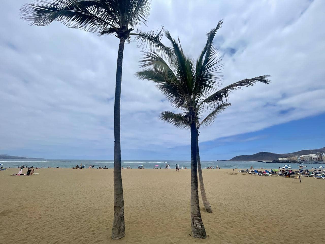 2 Zimmer Wohnung zu vermieten in Las Palmas de Gran Canaria - 1.300 € (Ref: 9084839)