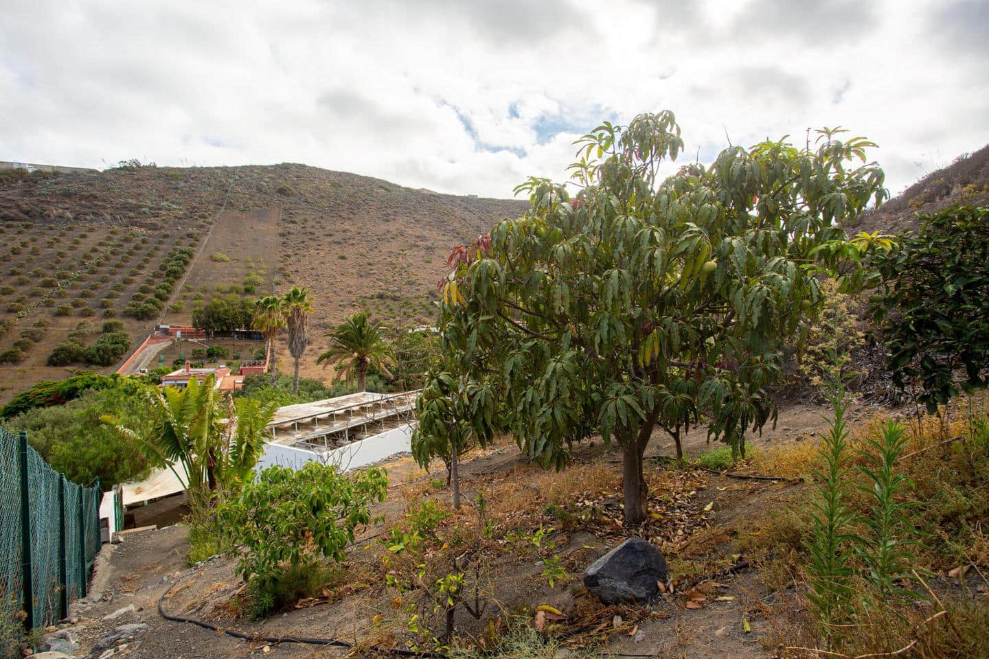 4 soverom Villa til salgs i Telde med svømmebasseng garasje - € 980 000 (Ref: 9205730)