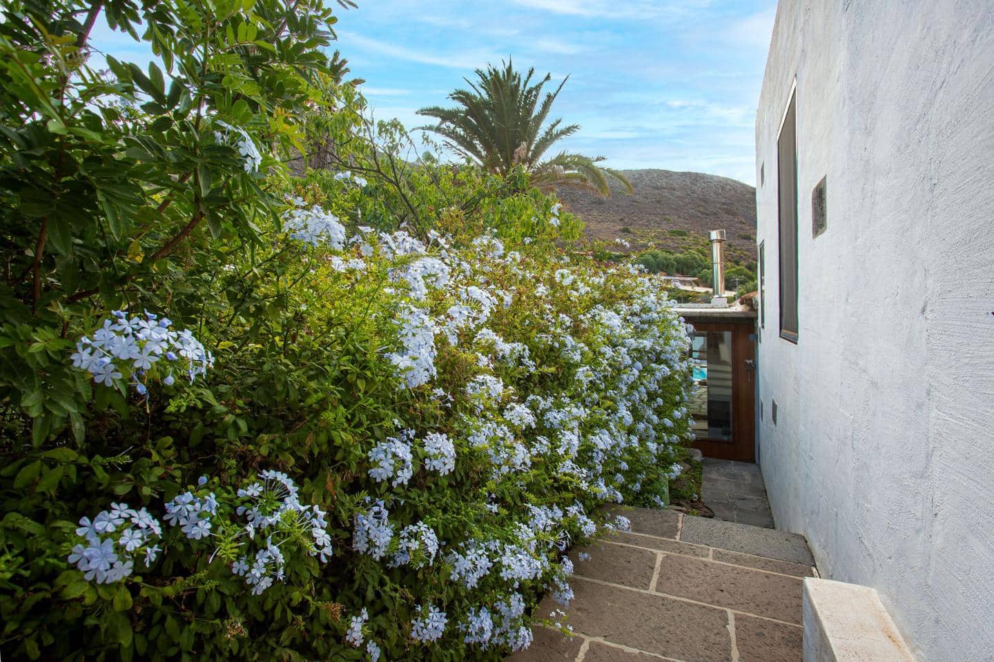 4 soverom Villa til salgs i Telde med svømmebasseng garasje - € 980 000 (Ref: 9205730)