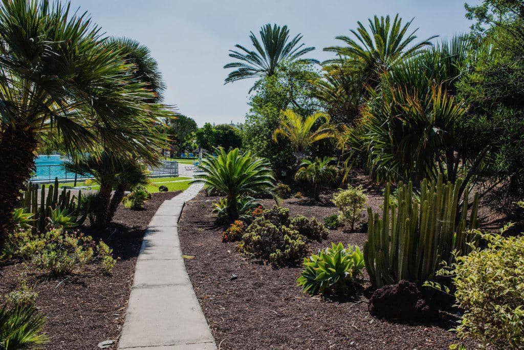 1 makuuhuone Asunto vuokrattavana paikassa San Agustin mukana uima-altaan - 1 500 € (Ref: 9219501)