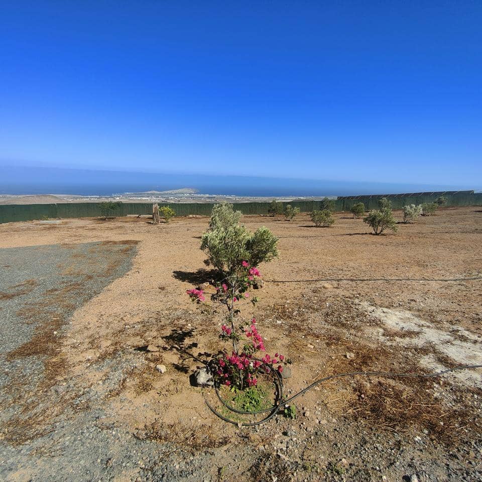 2 soverom Villa til salgs i Telde - € 450 000 (Ref: 9283519)