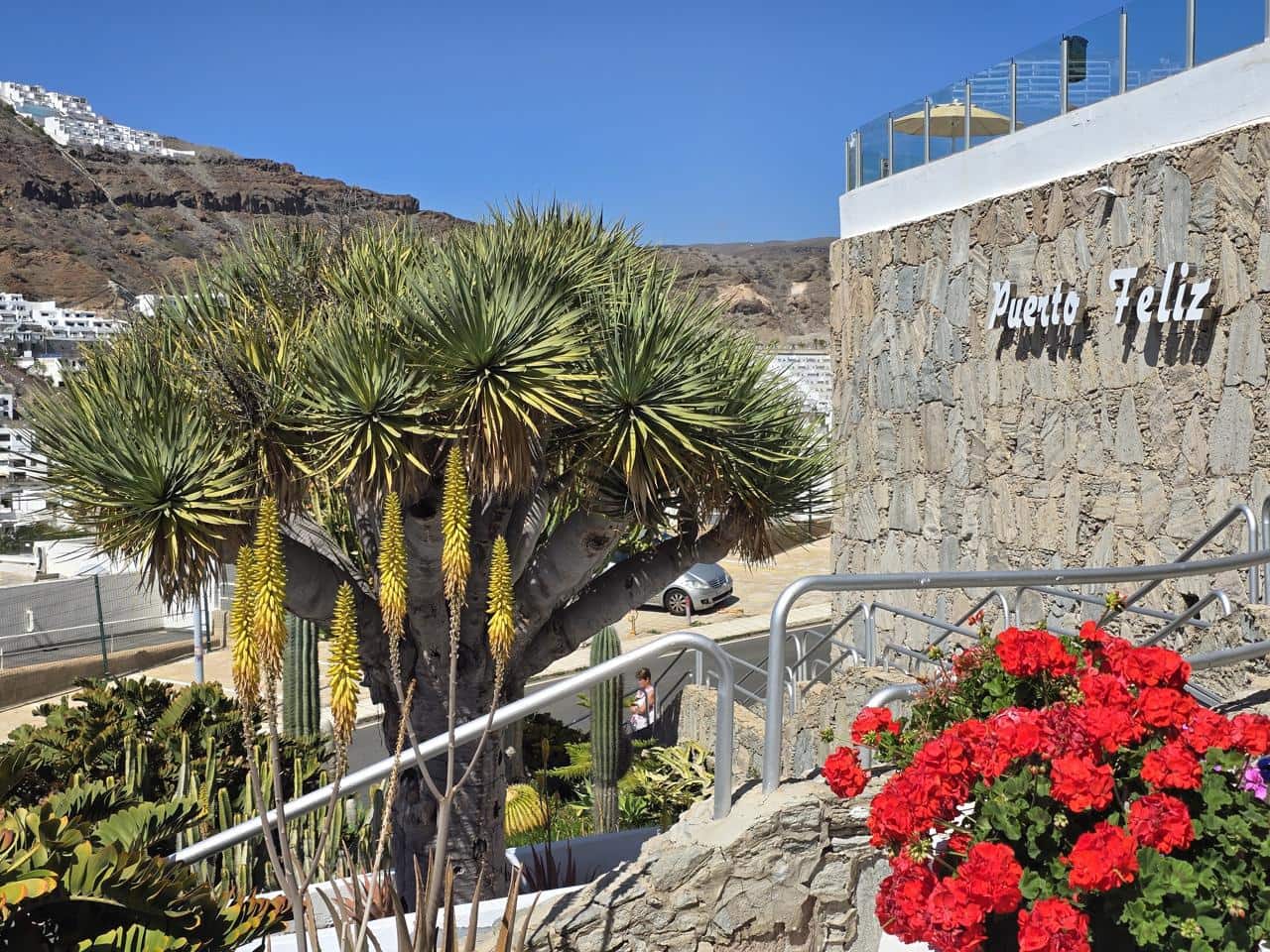 2 quarto Apartamento para venda em Puerto Rico com piscina - 230 000 € (Ref: 9296329)