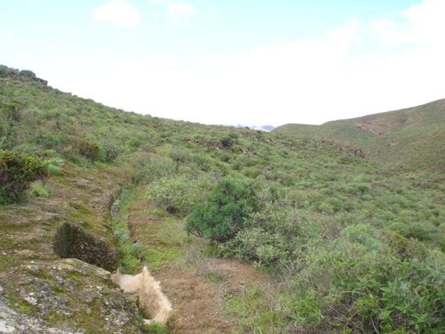 2 sypialnia Finka/Dom wiejski na sprzedaż w Telde - 220 000 € (Ref: 9339181)