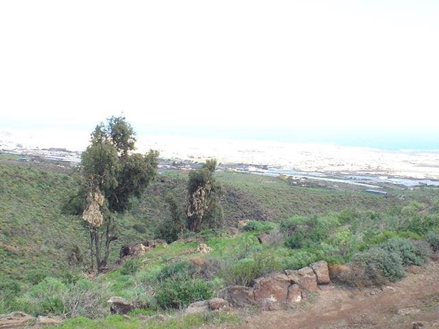 2 sypialnia Finka/Dom wiejski na sprzedaż w Telde - 220 000 € (Ref: 9339181)