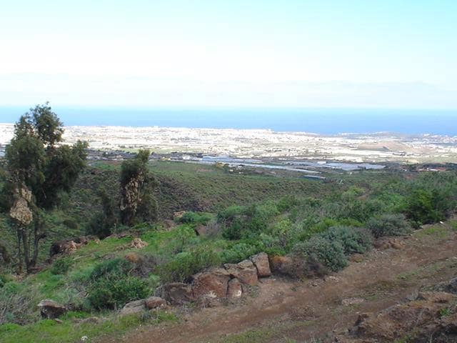 2 sypialnia Finka/Dom wiejski na sprzedaż w Telde - 220 000 € (Ref: 9339181)