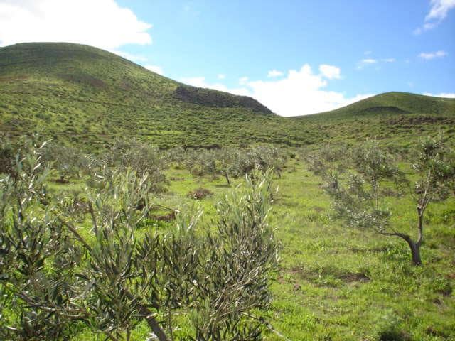 2 sypialnia Finka/Dom wiejski na sprzedaż w Telde - 220 000 € (Ref: 9339181)