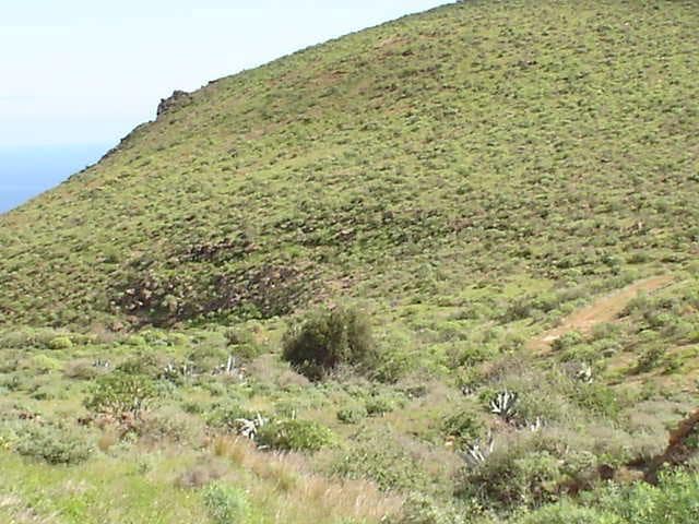 2 sypialnia Finka/Dom wiejski na sprzedaż w Telde - 220 000 € (Ref: 9339181)